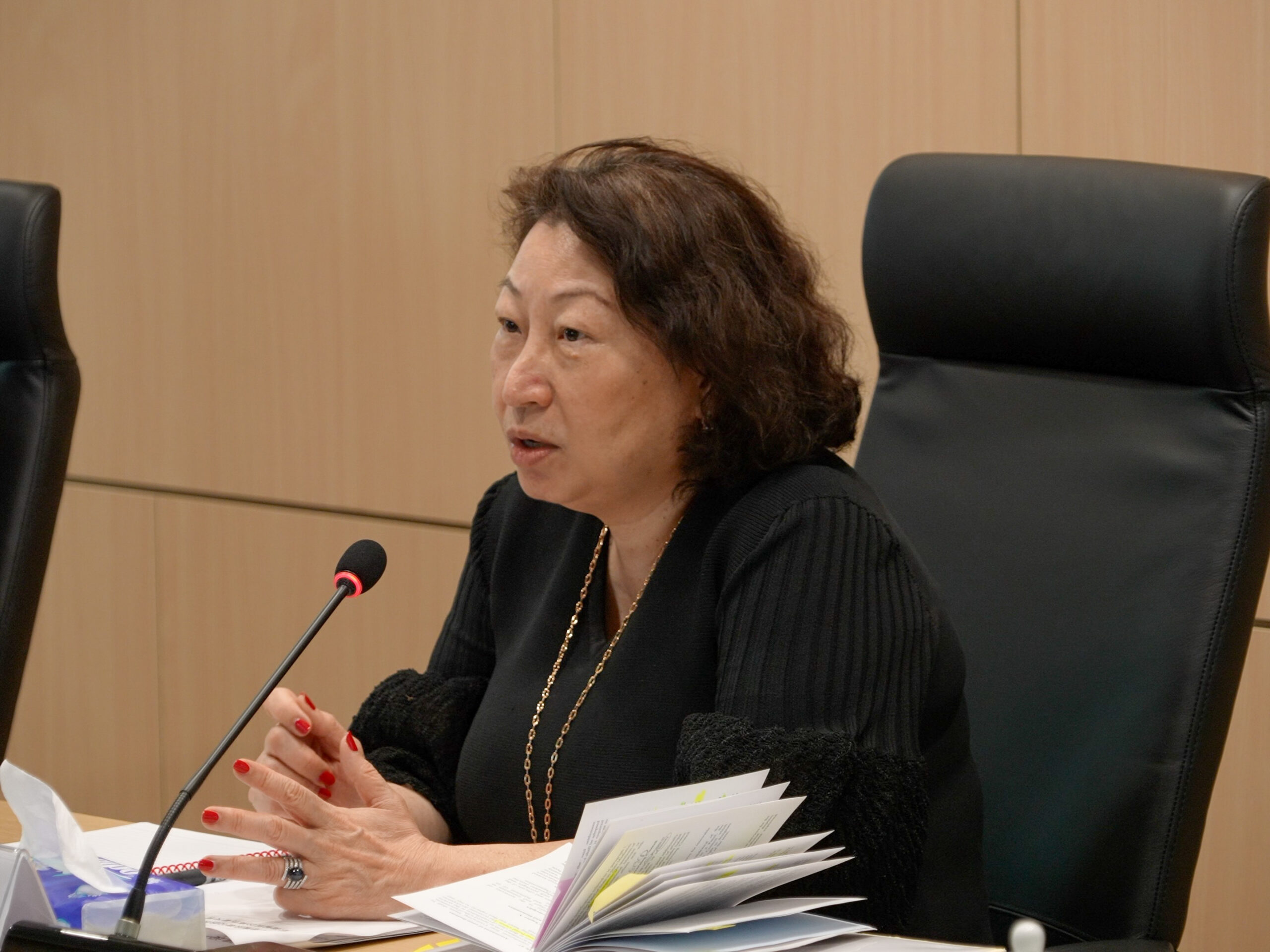 photo-Dialogue with Mediators - 2